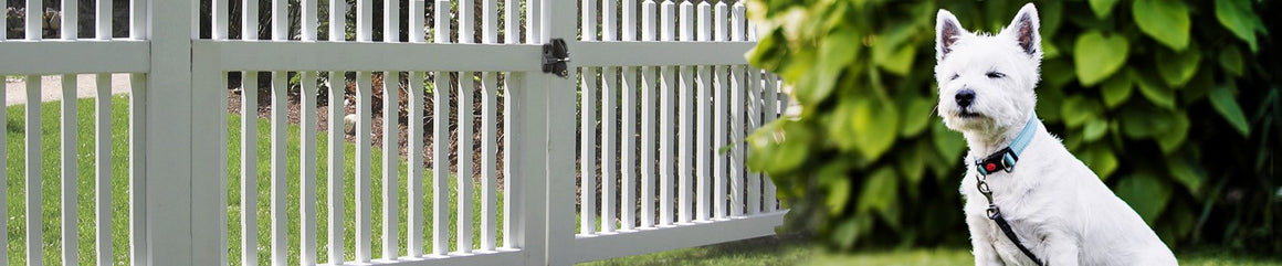 Steel Ornamental Iron